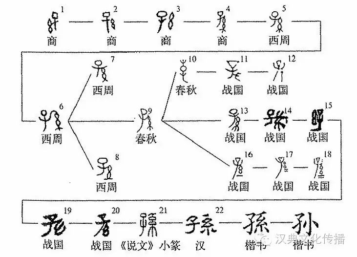 深度解析賈靜雯前老公孫志浩個人資料:揭秘其家族背景與人生軌跡