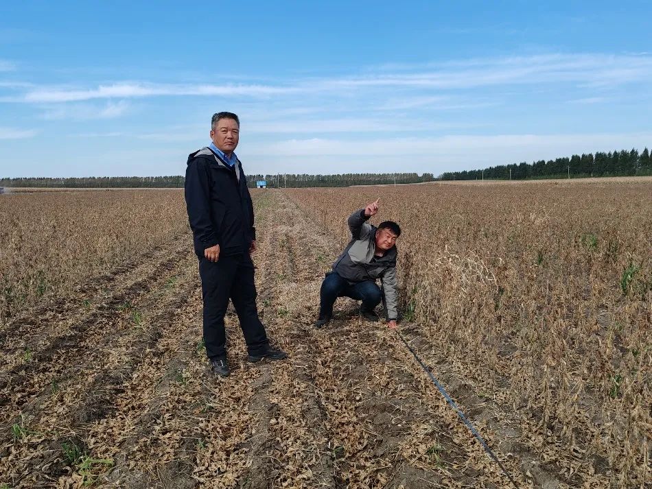 茶館奇遇:解碼‘白小姐一肖一特一中今天開(kāi)獎(jiǎng)’背后的社會(huì)鏡像