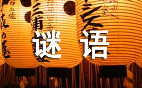 虛擬港灣的謎思：探秘新澳門天天免費(fèi)謎語(yǔ)下一期的數(shù)字奇遇