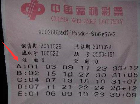 探秘王中王493333中特馬特色:數字謎團的邊境對話