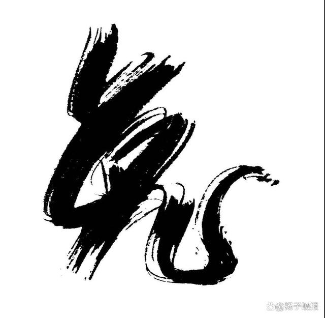 深度解析中國人民解放軍儀仗隊(duì)女兵海軍圖片:探尋巾幗英姿與國家榮光
