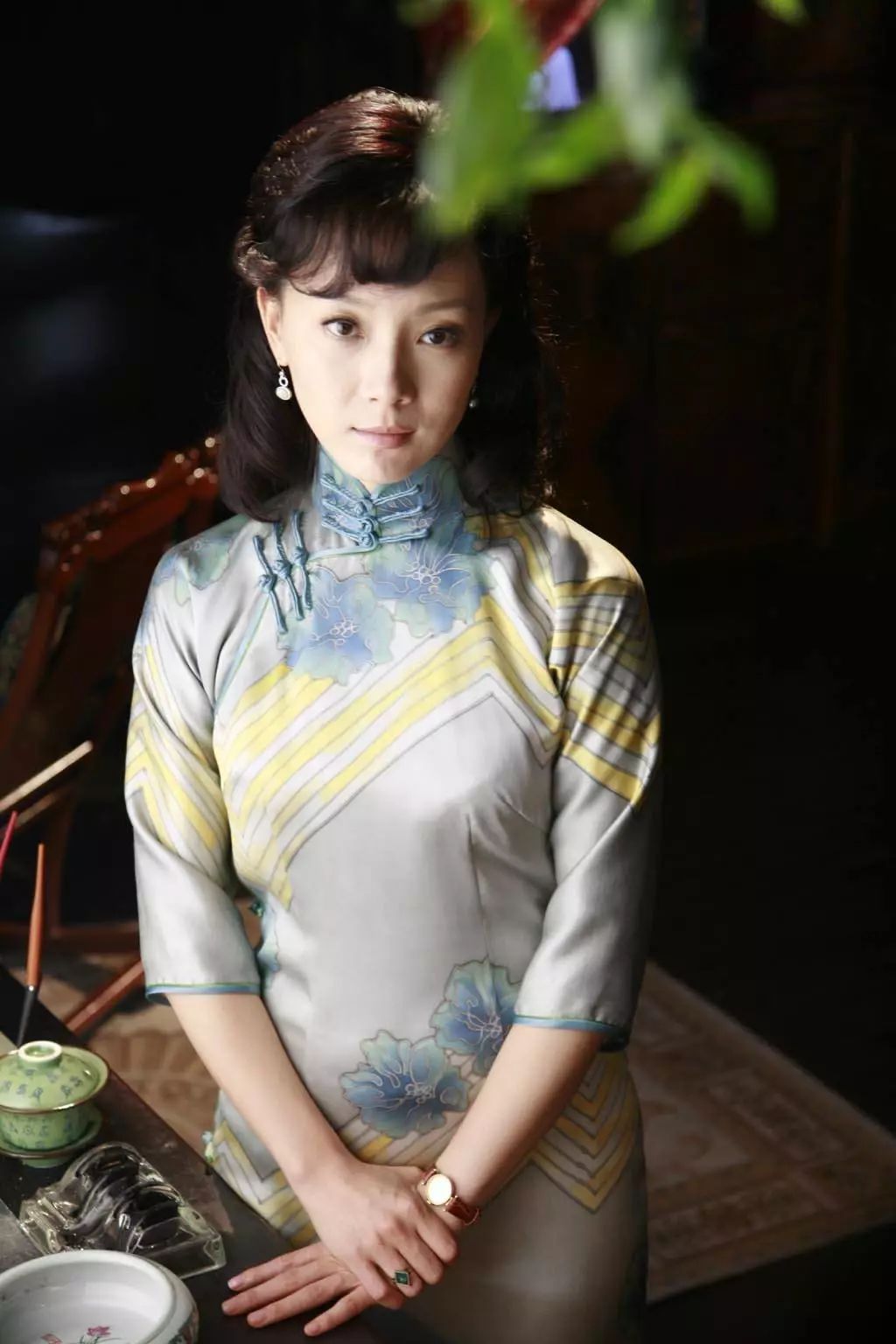 《時光碎片里的光影:探尋陳數(shù)的電視劇全部》