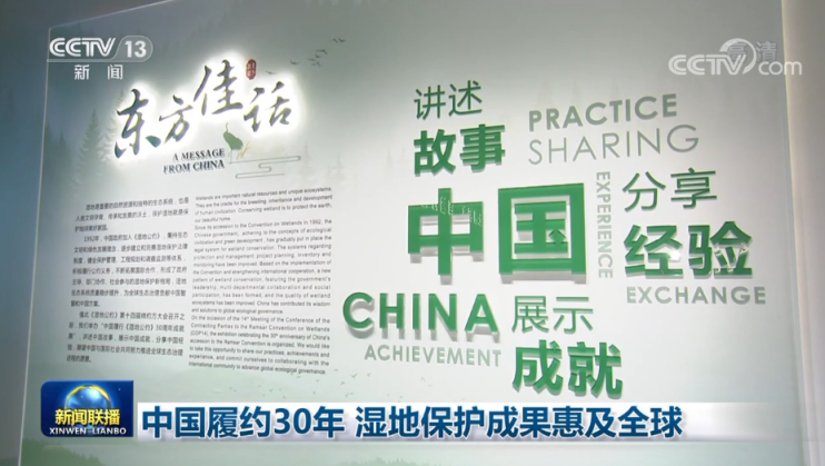 邊境密語:一場關于《禁止化學武器公約》的深度對話與啟示