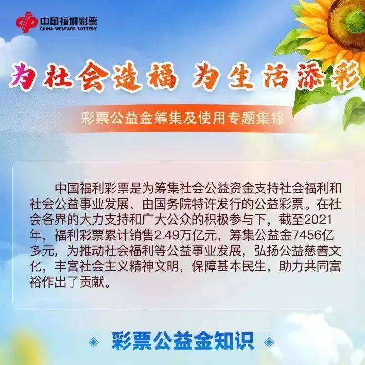 2025年7月17日