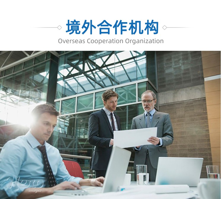 新奧天天全年免費(fèi)大全:一場跨越數(shù)字邊界的奇遇與思辨