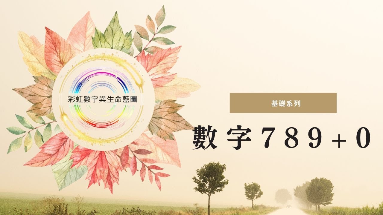 穿越數(shù)字迷霧:對(duì)話“7777788888管家婆老家含義”的奇遇解析