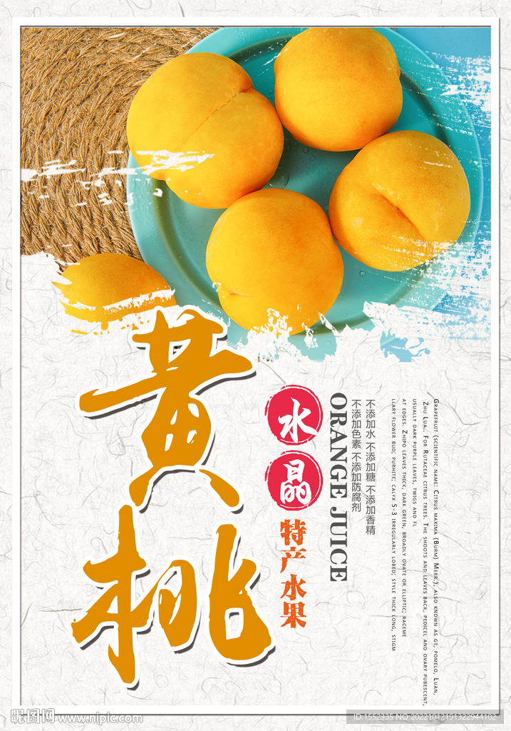 黃玲玲個(gè)人簡(jiǎn)歷的探秘之旅:一場(chǎng)跨越時(shí)空的職場(chǎng)對(duì)話(huà)