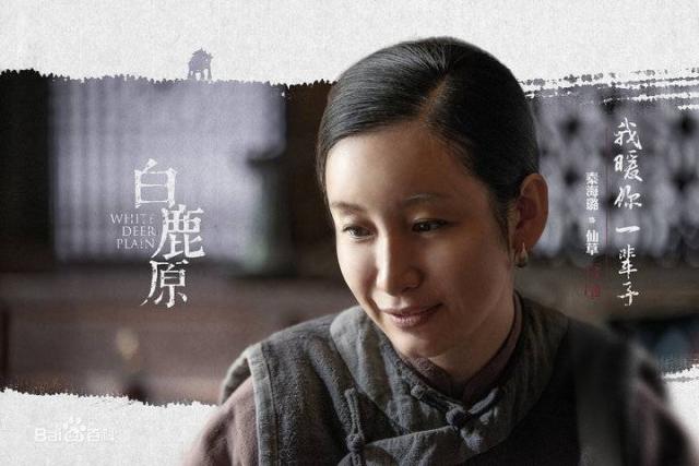 秦海璐演過哪些電視劇深度解析:盤點(diǎn)其經(jīng)典代表作與多樣化熒屏形象