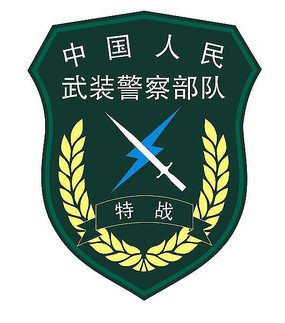 武警特戰(zhàn)臂章的沉思：一次老兵與青年的時(shí)光對話