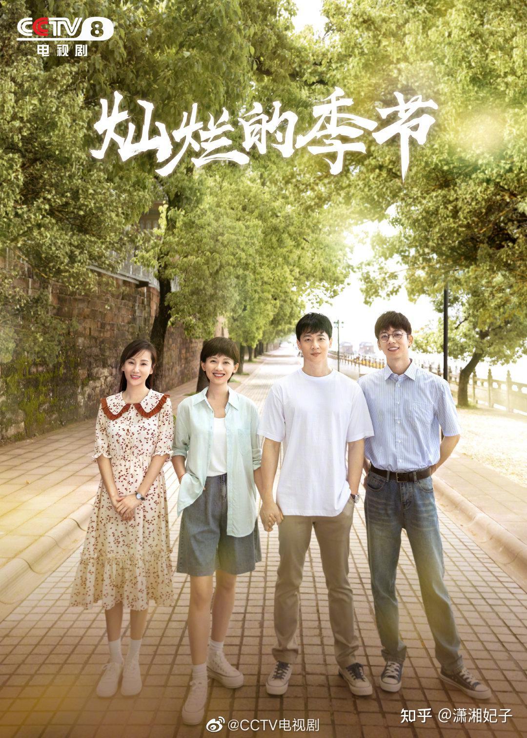 光影對話:探秘《燦爛的季節(jié)2022》演員表介紹與角色之魂
