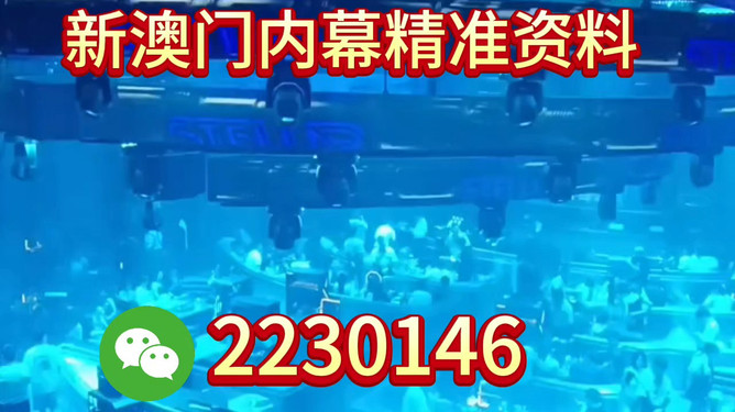 新奧2025今晚開獎(jiǎng)資料詳解，新奧2025今晚開獎(jiǎng)資料全面解析