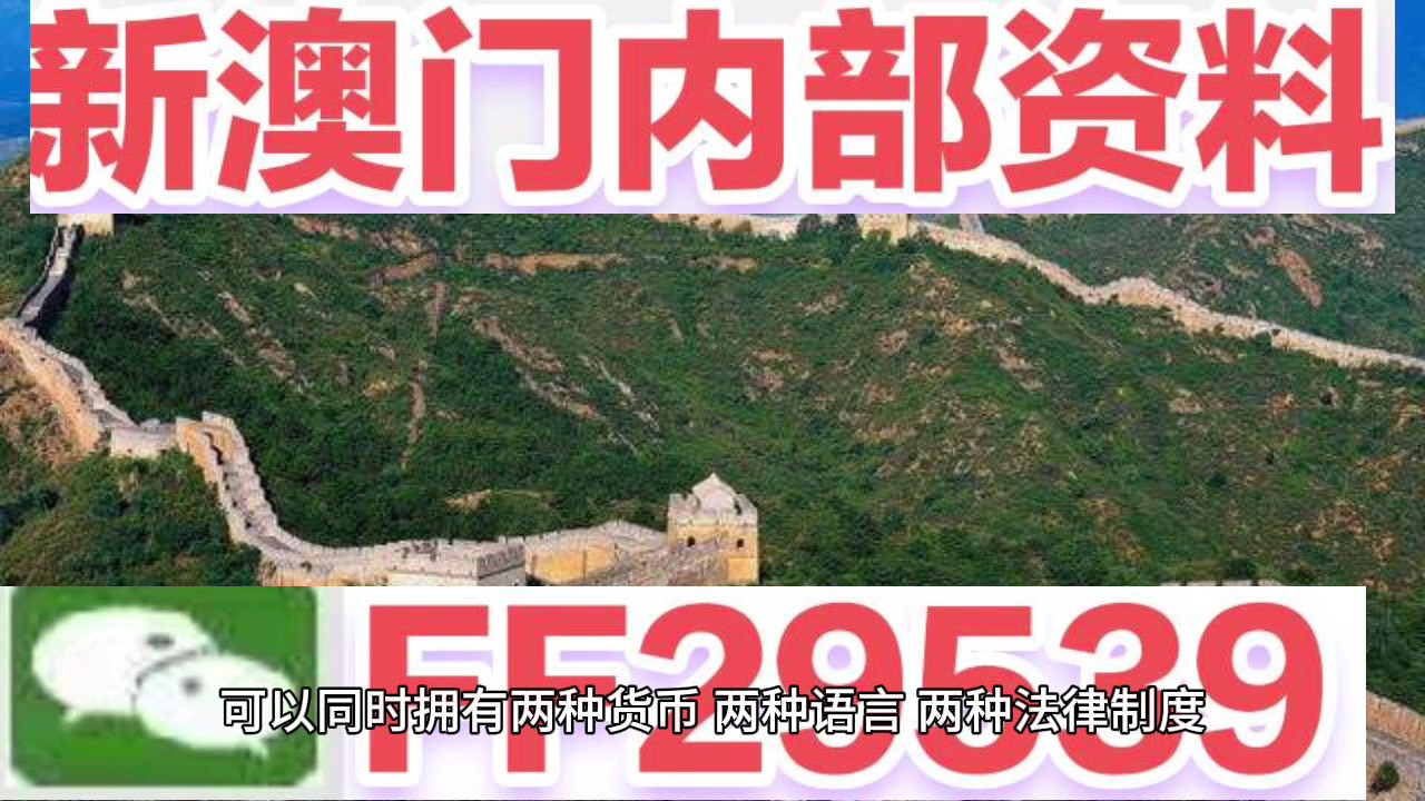 新澳門今晚開獎結(jié)果號碼查詢表，探索彩票世界的神秘面紗，新澳門今晚開獎結(jié)果號碼查詢表，揭開彩票世界的神秘面紗