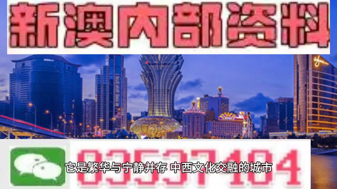 新澳天天開獎(jiǎng)資料大全第14期詳解，新澳天天開獎(jiǎng)資料第14期詳解大全
