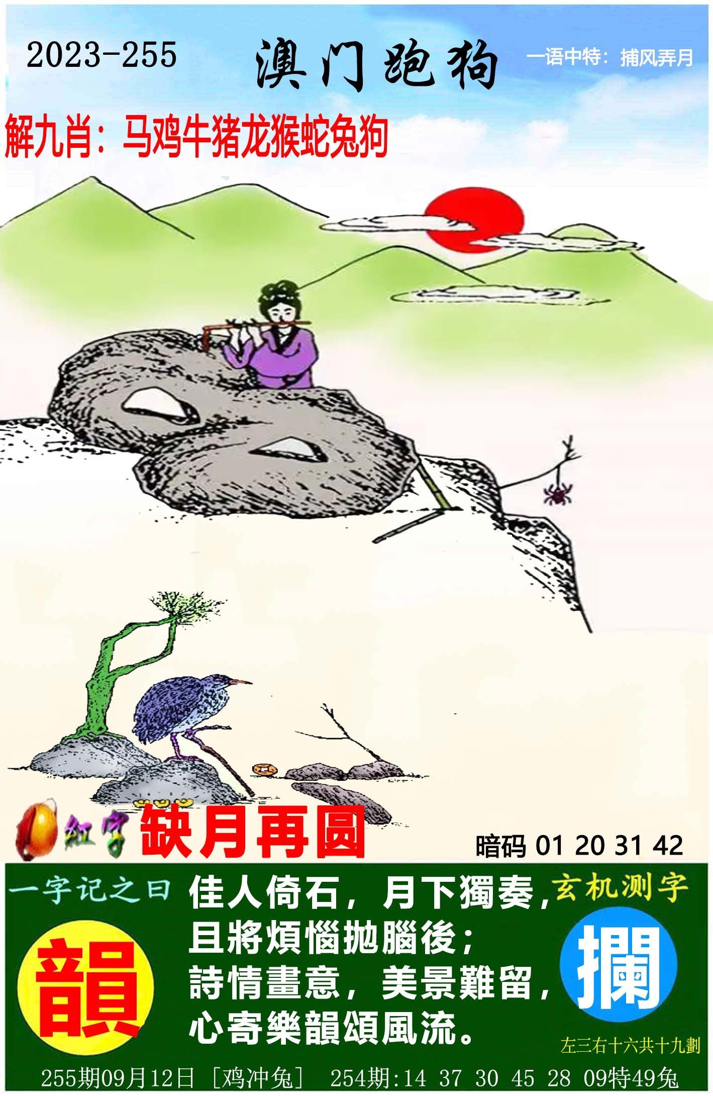 澳門彩票，探索2025年天天開好彩的奧秘與期待——第46期深度解析，澳門彩票深度解析，探索未來天天開好彩的奧秘與期待（第46期）
