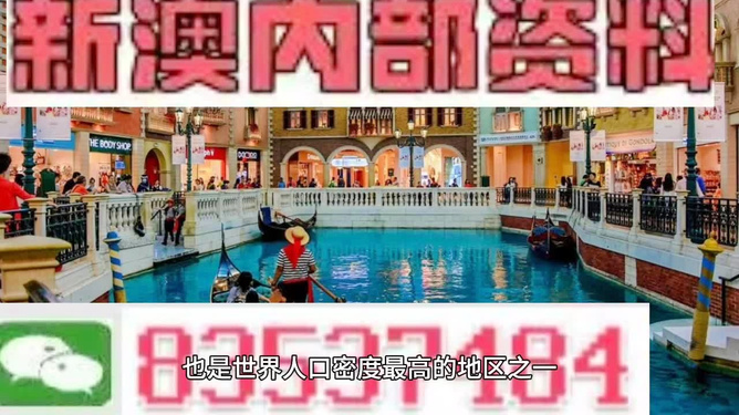 新澳門免費精準(zhǔn)龍門客棧管家婆，探索澳門旅游的新體驗，澳門旅游新體驗，龍門客棧管家婆揭秘免費精準(zhǔn)攻略