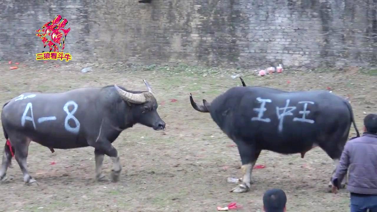 香港 第33頁