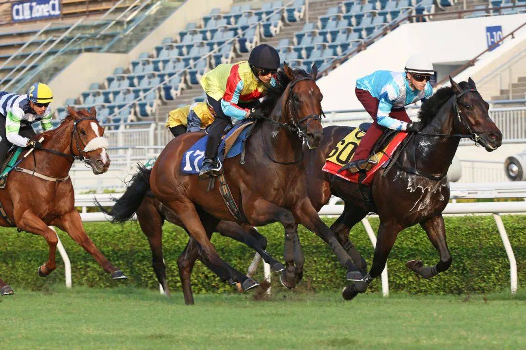 香港馬，77777與88888的傳奇故事，香港賽馬傳奇，77777與88888的傳奇篇章