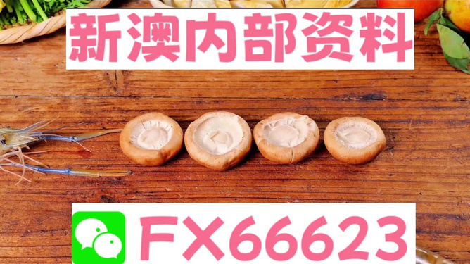 新澳全年免費(fèi)資料大全，探索與收獲，新澳全年免費(fèi)資料大全，探索之旅與收獲的時(shí)刻