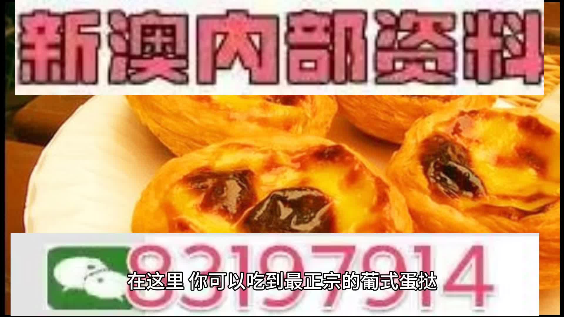 探索未來，2025新澳門中特網(wǎng)的發(fā)展與展望，2025新澳門中特網(wǎng)的發(fā)展展望，探索未來之路