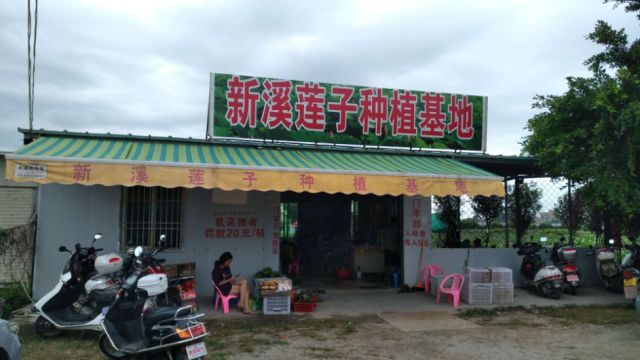收獲與成長
