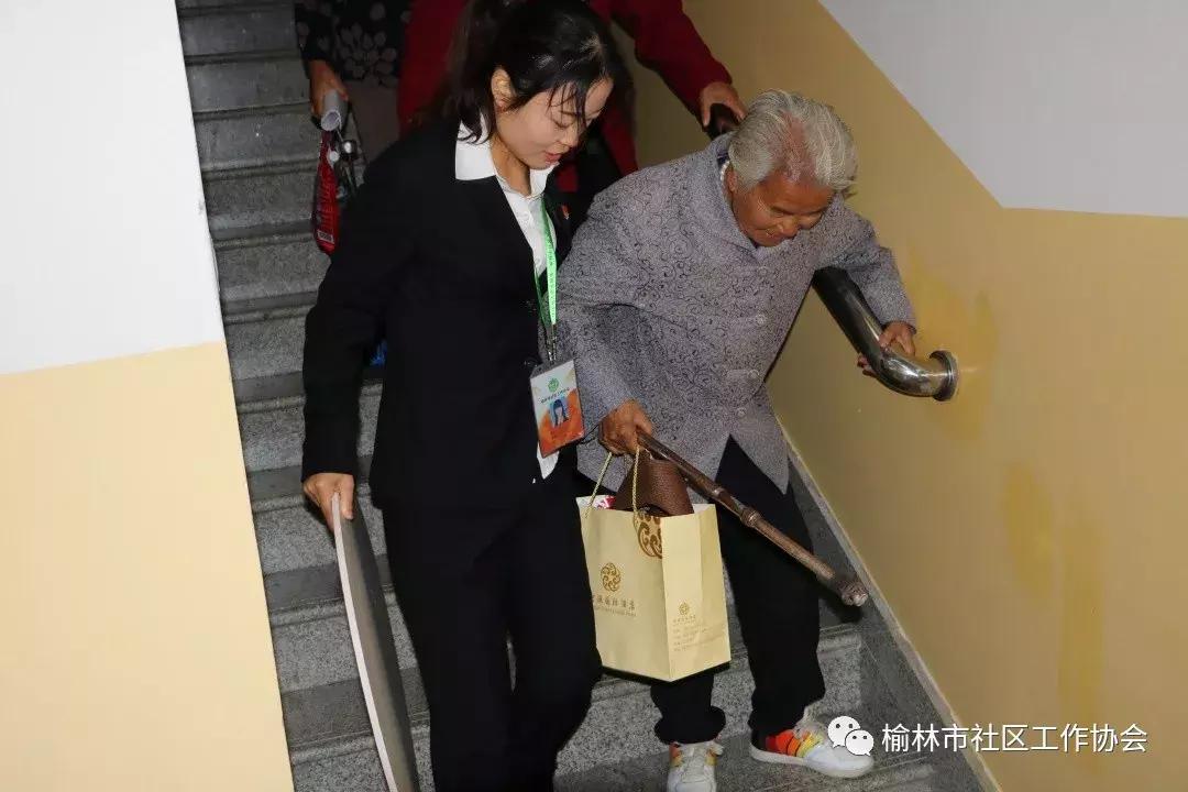 天天免費資料彩票大全，探索彩票世界的奧秘與機遇，天天免費資料彩票大全，揭秘彩票世界的奧秘與機遇