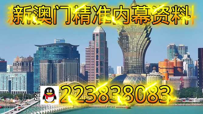 探索新澳門正版內(nèi)部，一個(gè)多元化的未來展望（至2025年），澳門未來展望，探索多元化發(fā)展之路至2025年