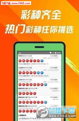 探究神秘的數(shù)字組合，493333王中王王中王，揭秘神秘數(shù)字組合493333王中王王中王的奧秘