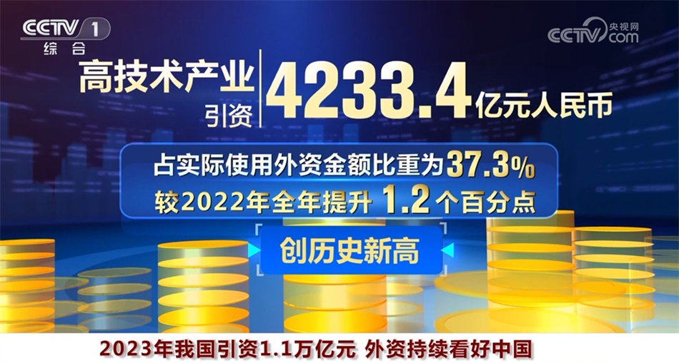 探索數(shù)字世界中的王中王，特點與亮點解析，數(shù)字世界中的王中王，特點與亮點深度解析