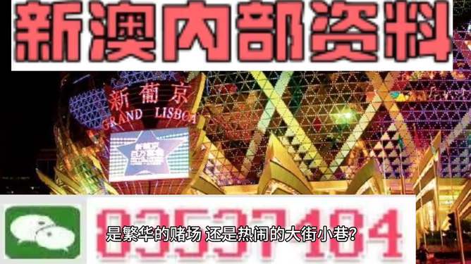 探索未來，2025新澳最新資料概覽，探索未來，2025新澳資料概覽