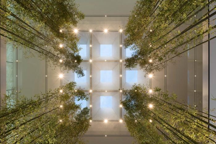 新澳門內(nèi)部精準公開的多元發(fā)展與活力展望，澳門多元發(fā)展的活力展望與內(nèi)部精準公開新動向