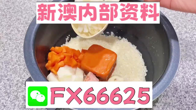 新奧精準(zhǔn)免費(fèi)資料提供，探索與啟示，新奧精準(zhǔn)免費(fèi)資料探索，啟示與分享