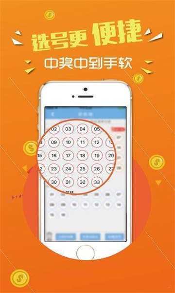 王中王論壇，心水交匯的智慧之地，王中王論壇，智慧交匯的心靈之地