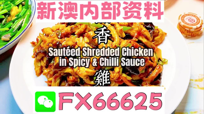 2025新奧精準資料免費大全，探索未來，助力成長，2025新奧精準資料免費大全，探索未來助力成長之路