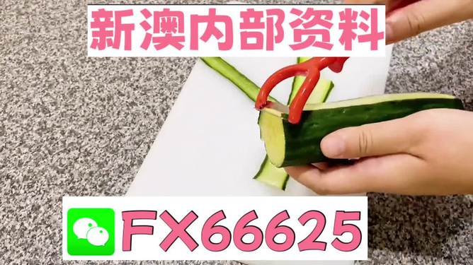 澳門管家婆100中獎，揭秘彩票背后的故事與啟示，澳門管家婆彩票背后的故事與啟示，揭秘中獎真相