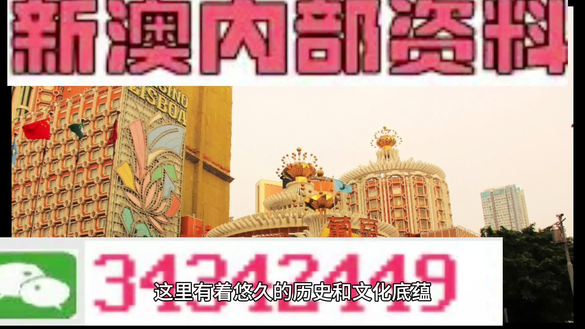 新門內部免費資料大全，探索與啟示，新門內部資料探索與啟示，免費資料大全