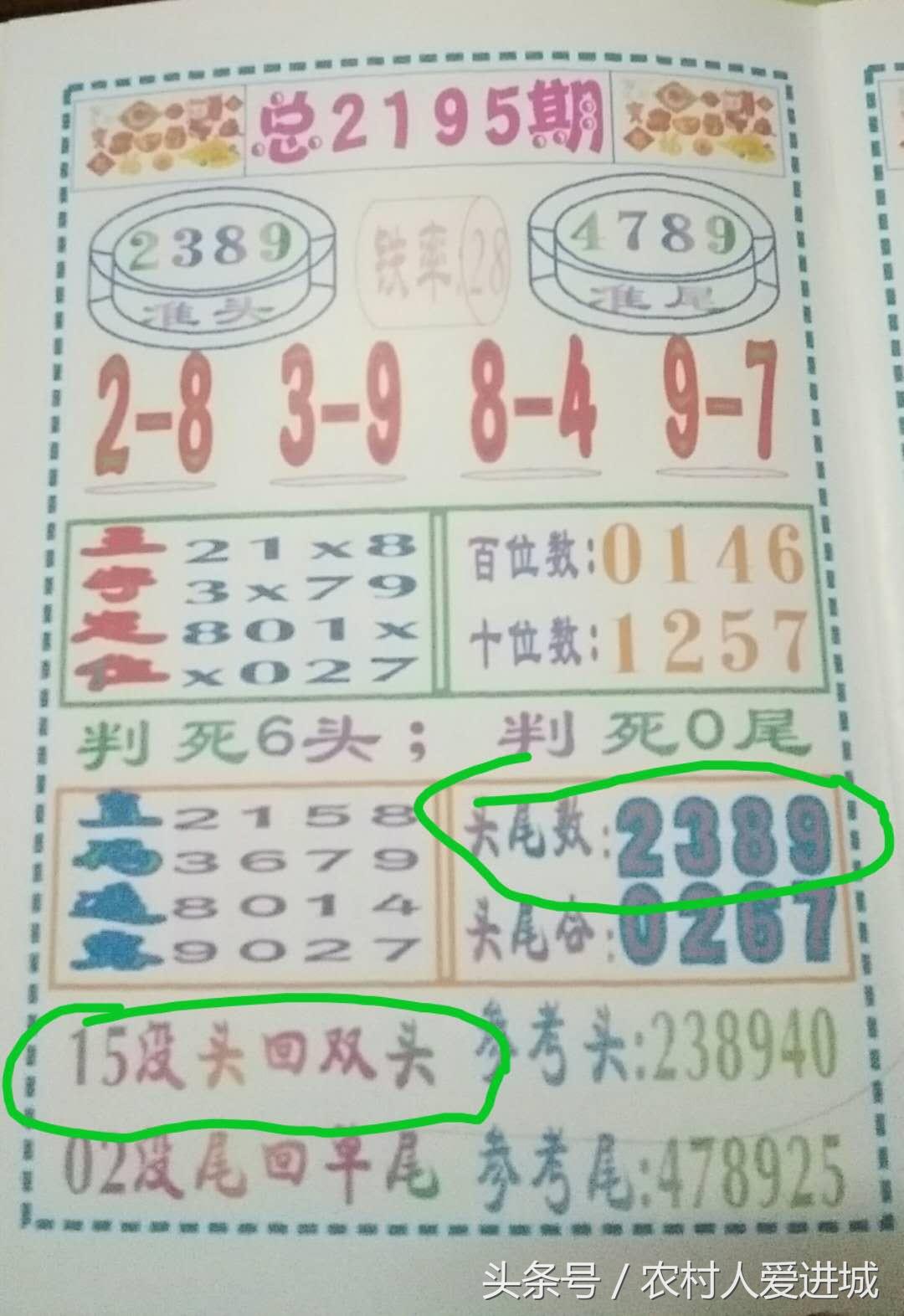 新澳門中期期期準的發(fā)展與展望，澳門未來中期發(fā)展展望與趨勢