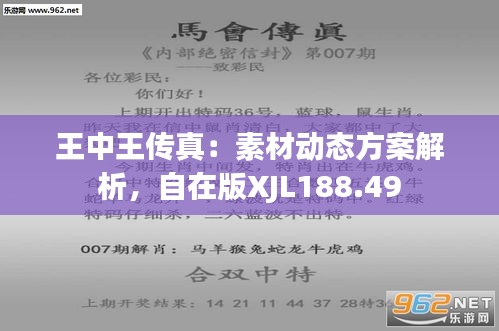 探索正版王中王，數(shù)字背后的故事與意義，正版王中王，數(shù)字背后的故事與深意