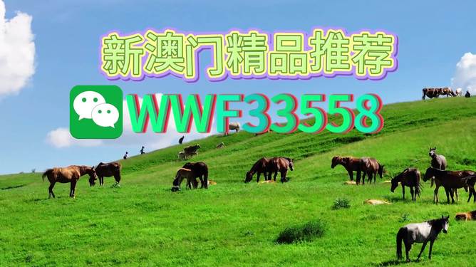 揭秘精準(zhǔn)四生肖，探尋數(shù)字組合77777與88888背后的奧秘，揭秘精準(zhǔn)四生肖與神秘數(shù)字組合77777與88888的奧秘探索
