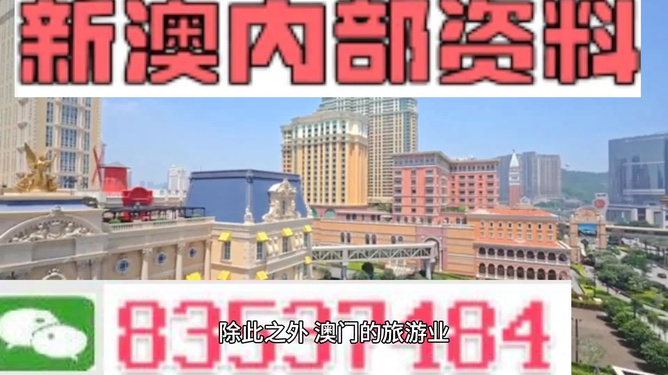 新澳門內(nèi)部精準公開的多元發(fā)展與活力展望，澳門多元發(fā)展的活力展望與內(nèi)部精準公開新動向