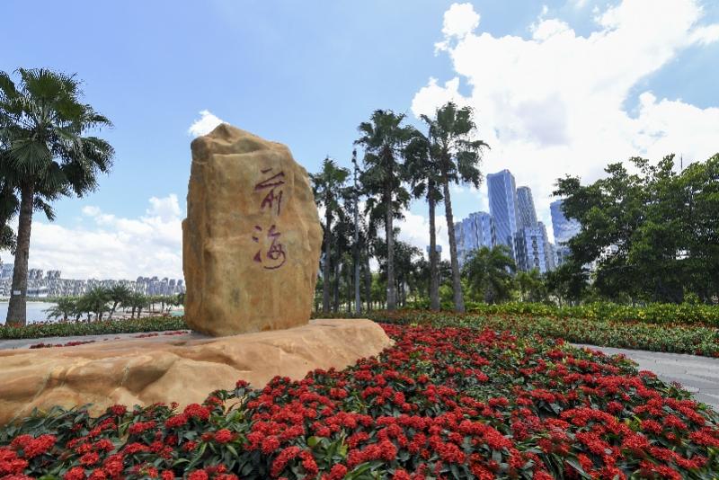 新澳門內(nèi)部精準公開，探索與解讀，澳門內(nèi)部精準解讀，探索與揭秘