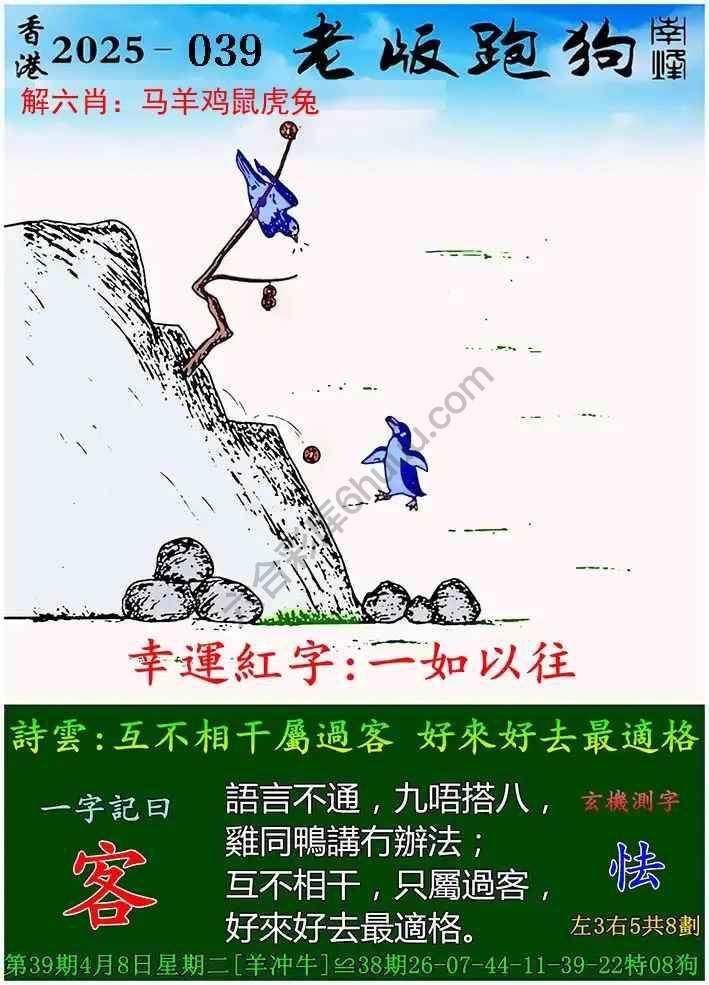 探索全新體驗(yàn)，7777788888新版跑狗，探索全新跑狗體驗(yàn)，7777788888新版來襲