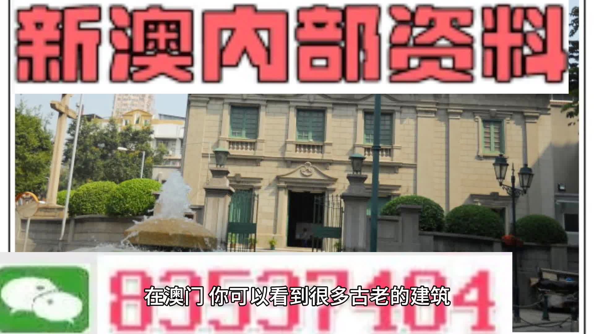 新門內(nèi)部免費(fèi)資料大全，探索知識的寶庫，新門內(nèi)部知識寶庫，免費(fèi)資料大全探索之旅